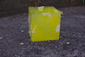 yellow-box